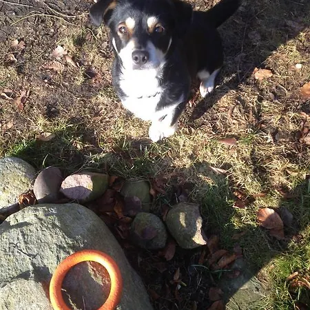 Gospodarstwo agroturystyczne Chlopy *