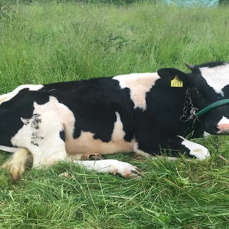 Chlopy Фермерский дом *