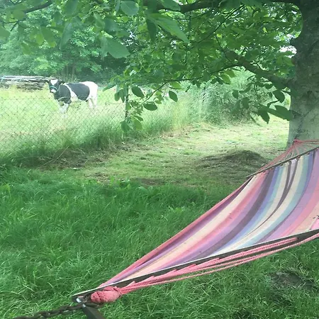 Фермерский дом Chlopy Сарбиново