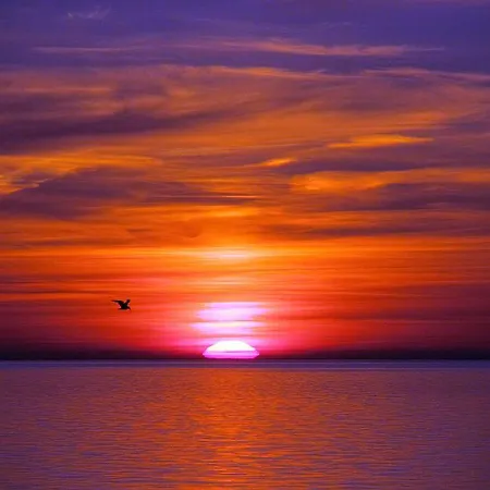 Chlopy Gospodarstwo agroturystyczne *