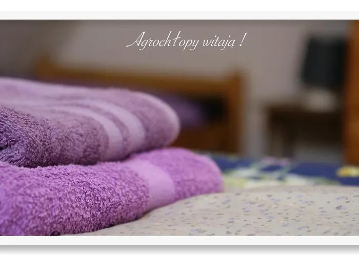 Chlopy 팜스테이 *