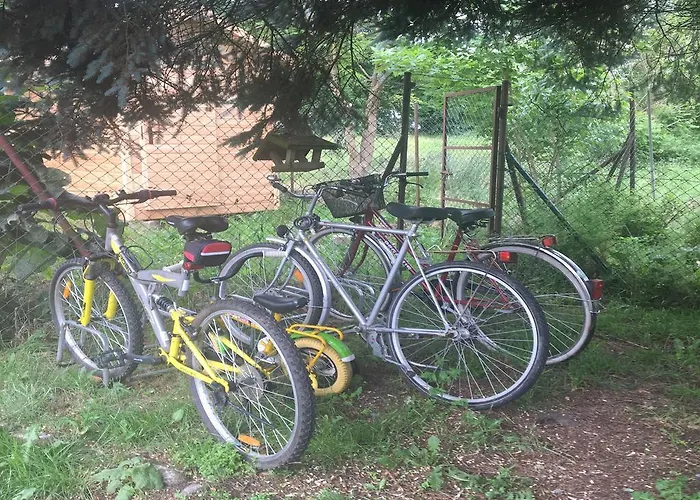 Chlopy * 사르비노보