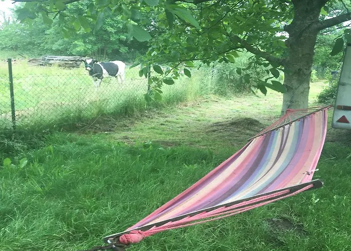 팜스테이 Chlopy 사르비노보