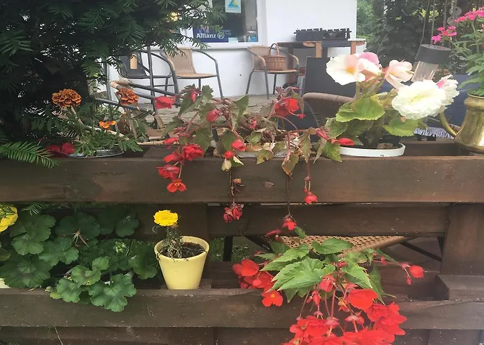 Chlopy 팜스테이 사르비노보