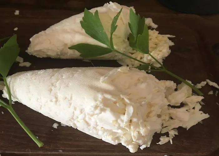 팜스테이 Chlopy *