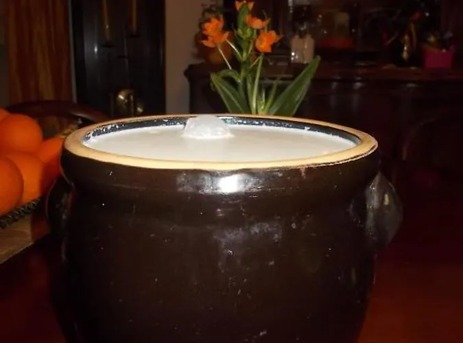 팜스테이 Chlopy *