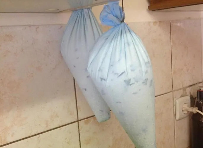 Chlopy 팜스테이 *