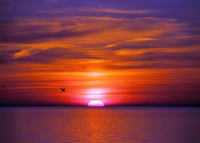 Chlopy 팜스테이 *